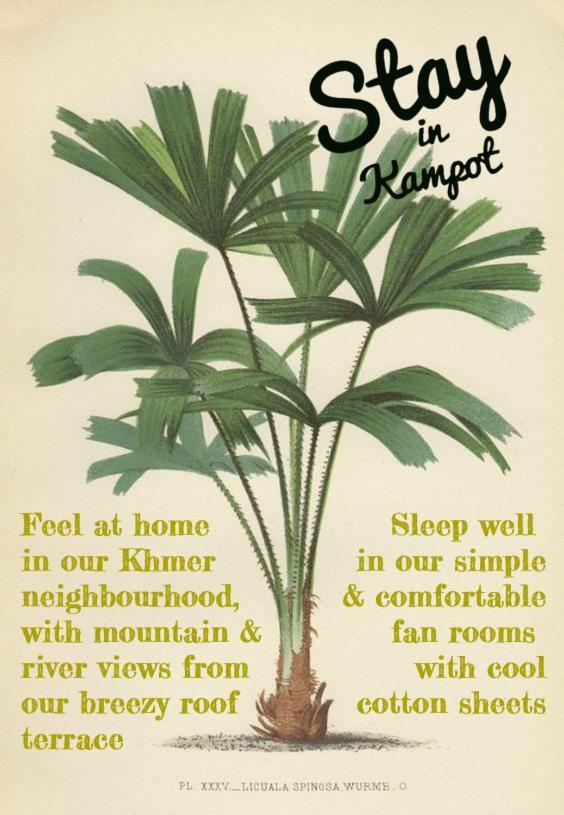 Stay In Kampot Buitenkant foto
