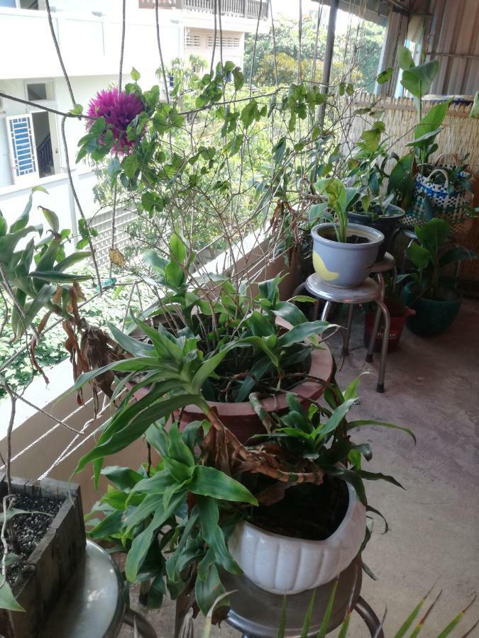 Stay In Kampot Buitenkant foto